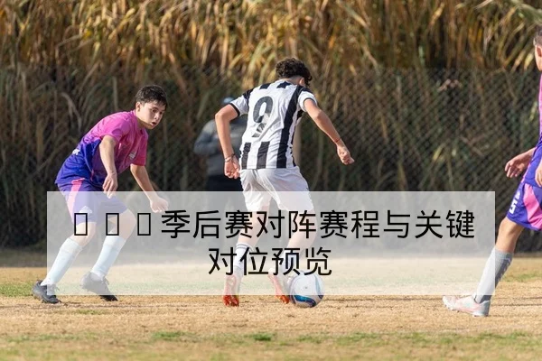 球队替补效率与替补得分率指标查询